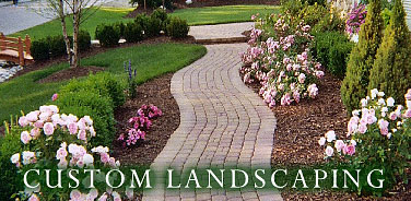 Custom Landscape