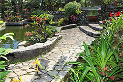 Paver Walkways & Patios