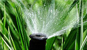 Irrigation Services